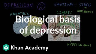Biological basis of depression | Behavior | MCAT | Khan Academy