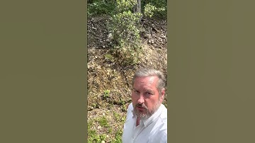 The heart of Efficiency and the heart of Immersion Cooling.