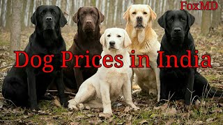Dog Price List In India 2018