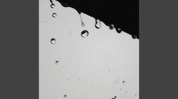 Thumbnail of The Shape of Rain
