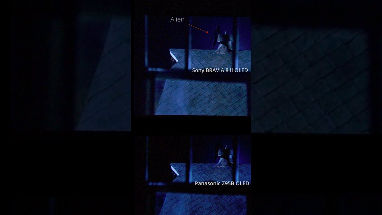 Shadow Detail Z95B Vs BRAVIA 8 II OLED Comparison