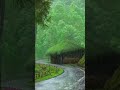 Adventure Travell Water Fall Adventure Travell Water Fall