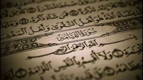 الشيخ هاني الرفاعي-سورة القيامه