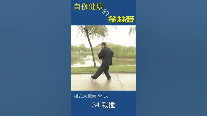 趙幼斌   太極拳85式   34 栽捶 - 天天要聞