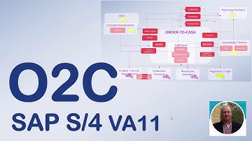 SAP S4 HANA Transaction VA11