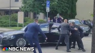 Slovakia's Prime Minister Shot And Critically Injured