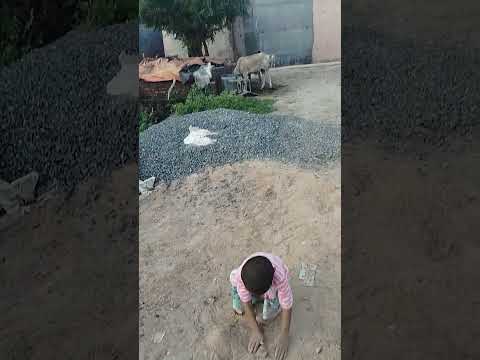 #love #bollywood #song #hindisong #bollywoodsongs #babychai #weddingceremony