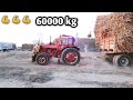 Belarus MTZ 510 Powerfully pulling a heavy loaded(60,000KG) sugarcane trailer | dhonwadar performnce