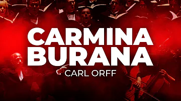 Che cosa sono i Carmina Burana?