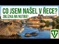 Nutrie v PRAZE!!! (roztomilá ekologická hrozba)