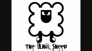 Back In Black  the black sheep.wmv