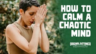 How To Calm a Chaotic Mind