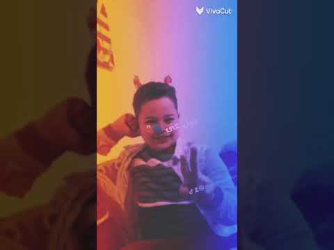 وسط دموع جراح وخراب عصام صاصا كامله وهو في الفرح