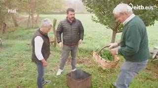 Historias A Bocados Segura