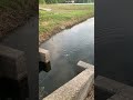 Fishing#lurefishing