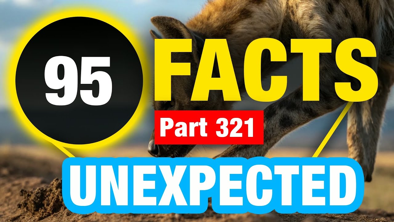 95 Fun Facts | Incredible Facts to Blow Your Mind - YouTube