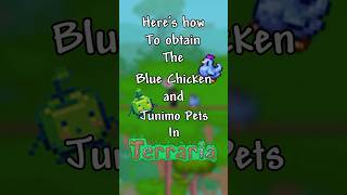 Here’s How To Obtain The Blue Chicken and Junimo Pets in Terraria! #terraria #shorts