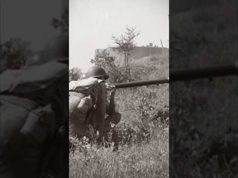 قصة قرية الفالوجة والنكبة التي شهدت تدمير 45 قرية فلسطينية على يد الميليشيات الصهيونية 