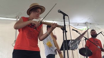 The Junksters: Gray Poodle Blues