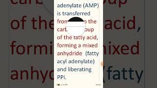 BIO 303 1p2 #PPT Slide Fall 2023 Final _term Perparation#BIO 303 1p2 #PPT Slide Fall 2023 Final_term