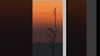 Turning a blank canvas into a peaceful sunset 🌅✨ #drawingprocess #tutorial#digitalart#pov#speedpaint