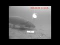 Sturgeon Spearing 2021 Day 16 Last Miss Sturgeon Spearing 2021 Day 16 Last Miss