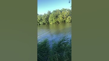 ﴿هنالك دعا زكرِيّا ربّهُ قال ربّ هب لي من لدنك ذرّيَّة طيّبةً إنّك سميع الدّعاءِ﴾#سورة_آل_عمران : 38