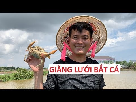 Video Khương Dừa đội nắng, lội đồng giăng lưới bắt cá và kết... - youtube