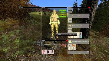 Ruined ammo glitch [ DayZ ][0.59]