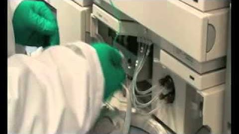 Staff Testimonial (Susana Monterio - Validation Analyst at Almac)