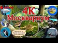 4К видео обзор Москвариум. Земля - наш общий дом и мы должны заботиться о нём. DJI Pocket 2 4k video