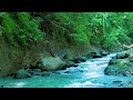 Deep Forest Water Stream - No Birds - Flowing Water Sounds - 10 Hours Sleep White Noise