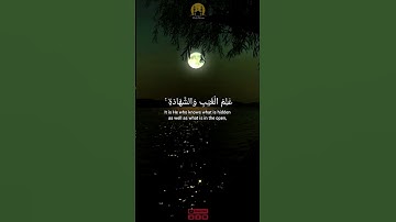Surah Al-Hashr | Beautiful Tilawat | سورة الحشر آخر ثلاث آيات | সূরা হাশর শেষ ৩ আয়াত #quran #viral