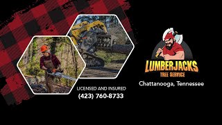 Lumberjacks Tree Service