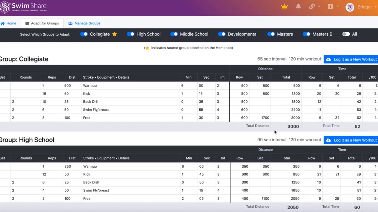 Leveling feature on SwimShare by Club Assistant