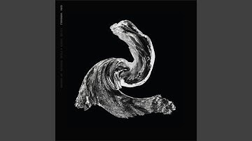 Source Searching (feat. Varnrable)