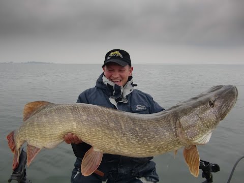 Video: How Much Does The Largest Pike In The World Weigh?