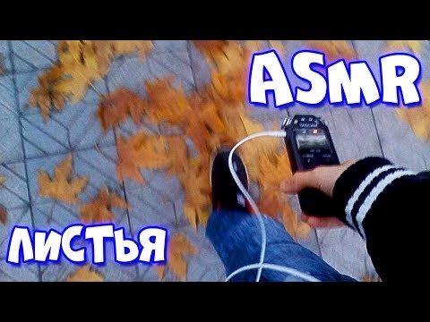 🎧АСМР/ ASMR-Звуки листьев, звуки ходьбы, листья, ходьба, с ушка на ушко/Sounds of leaves,ear to ear