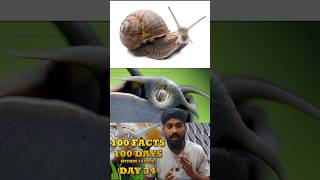 Do Snails REALLY Have 25000 Teeth?❓#shortvideo #ytshorts #viralshorts #snail