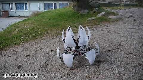 MorpHex + (but with) 