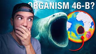 They found this in Antarctica.