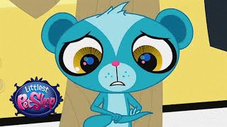 Littlest Pet Shop Russia - Мини мульты Маленький зоомагазин Сунил Resimi