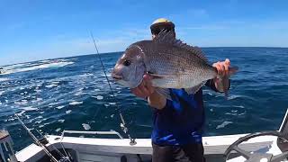 How to Catch Snapper on Soft Plastics - Fishing the Washes screenshot 2