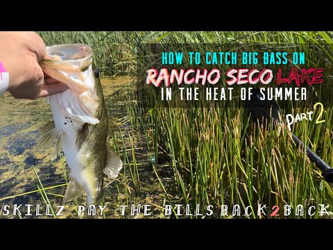 Flipping-N-Pitching In cover for big bass on RAncho Seco lake in the heat of summer (Part 2)