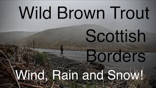 Wild Brown Trout - I had to Fight Tough Conditions - Early Season Trout - Fly Fishing