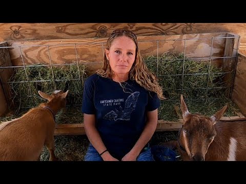 Blue Cactus Dairy Goats - YouTube