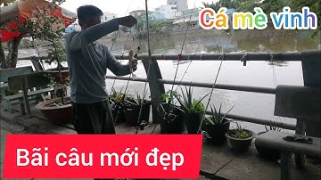 Review điểm câu cá tại phước lộc nhà bè /có cá chép, mè vinh, cá trê, cá tra cá trôi cá chim