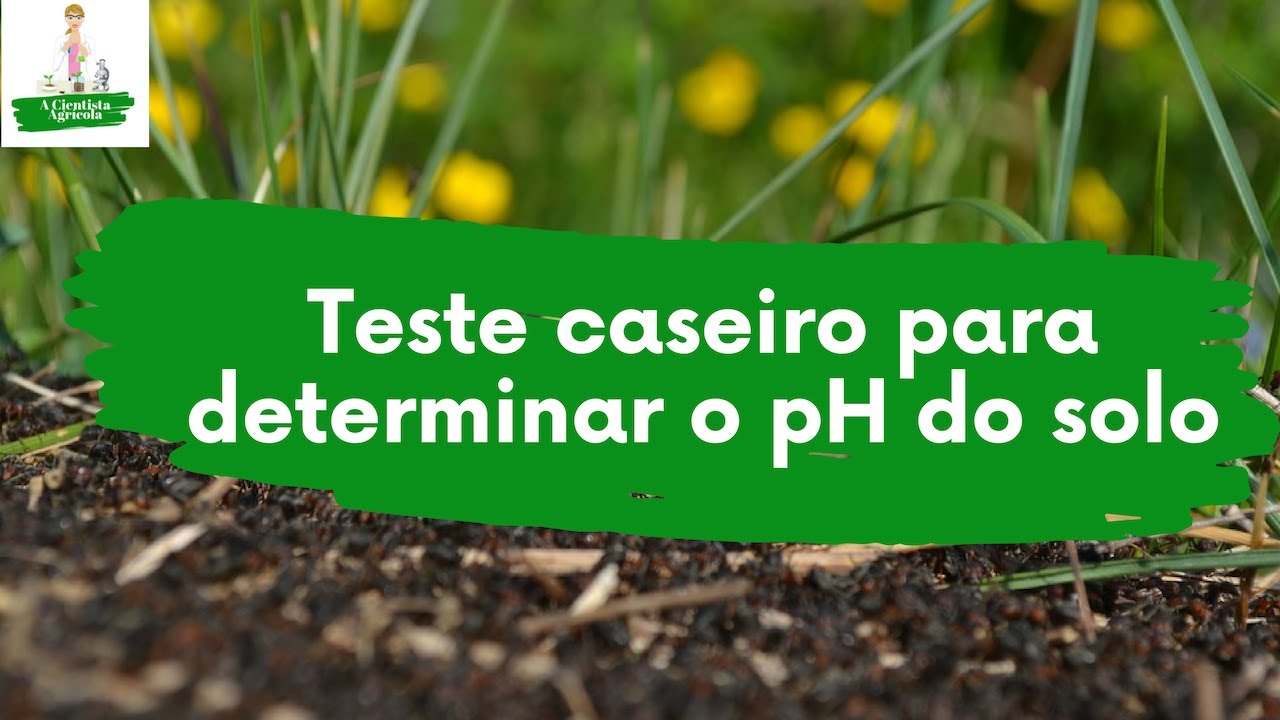 como-medir-o-ph-do-solo-de-forma-caseira-i-a-cientista-agr-cola-youtube