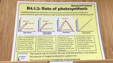 B4 Rate of Photosynthesis REQUIRED PRACTICAL