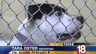 Microchips scanners helping Flathead animal control